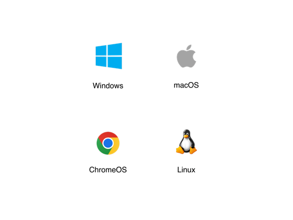Touchscreen 12 Pollici