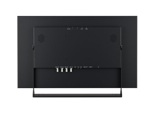 Monitor 22 Pollici Metallo SDI